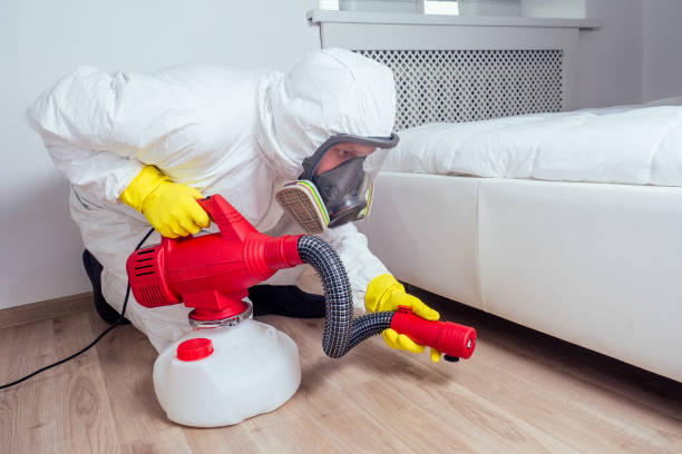 Best Fumigation Services  in Jackson, MO